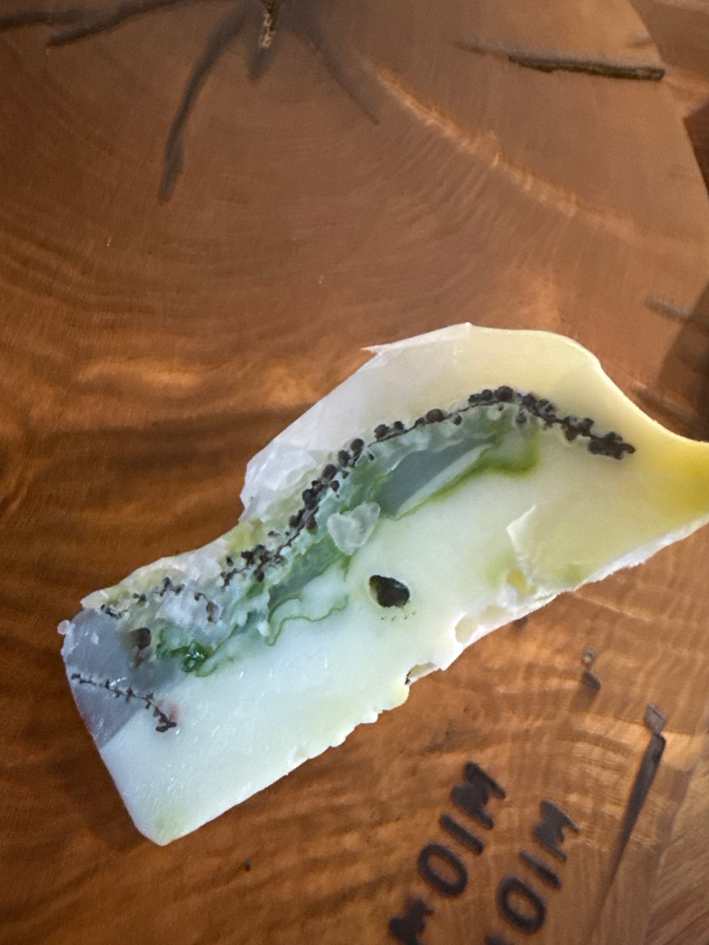 Kelp Kind - Seaweed and Orange Blossom Soap